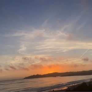 Meet your Posher, Nora